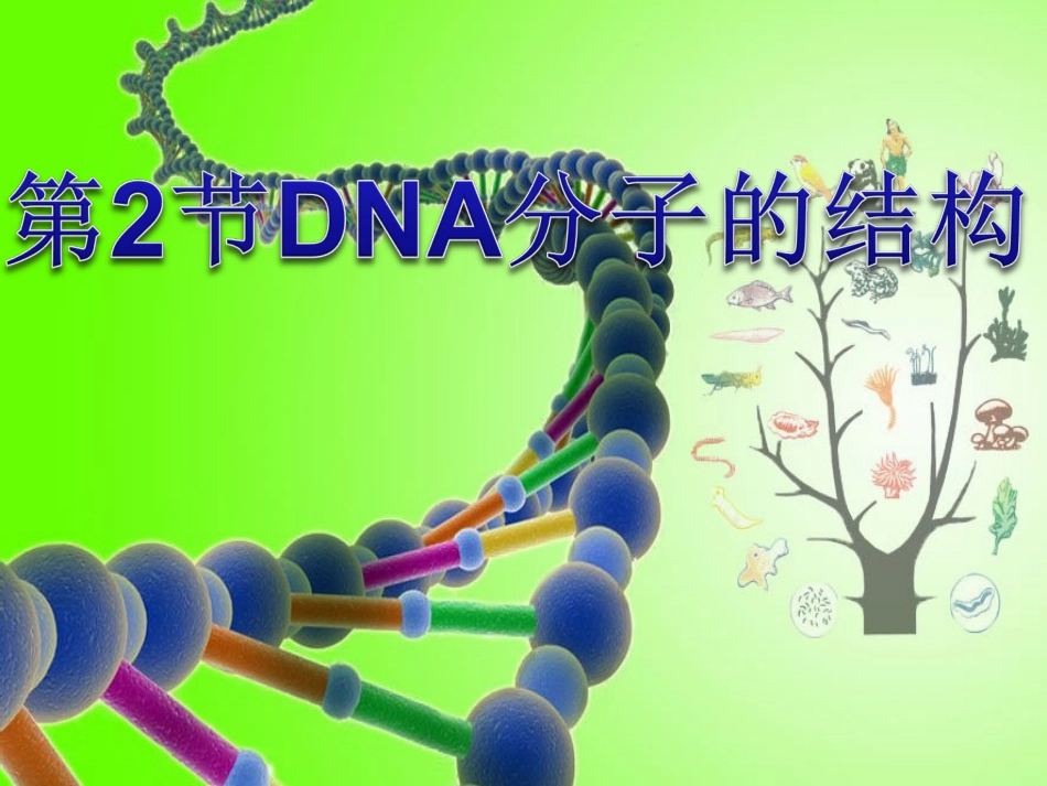 DNA分子的结构优质课课件_第1页
