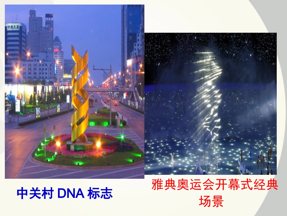 DNA分子的结构优质课课件_第2页
