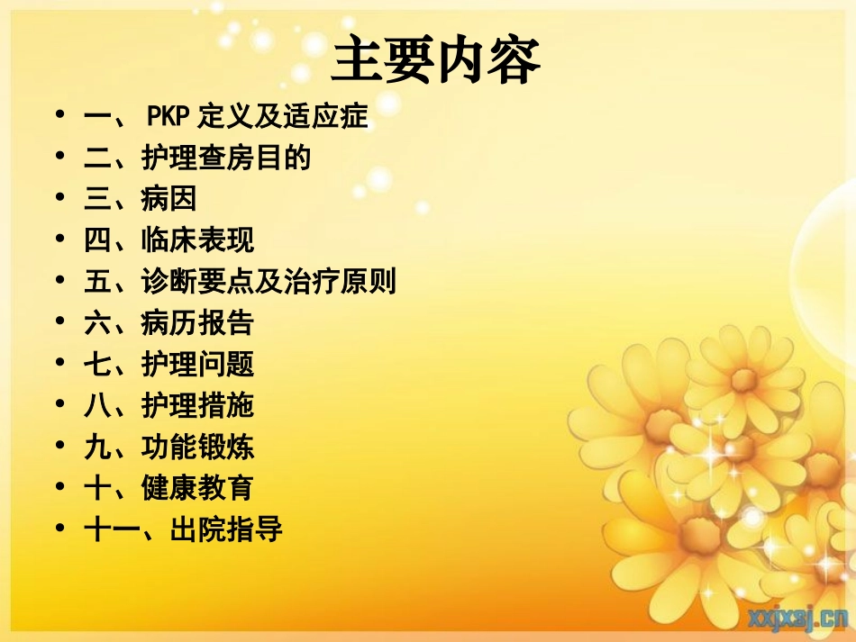 PKP护理查房_第2页