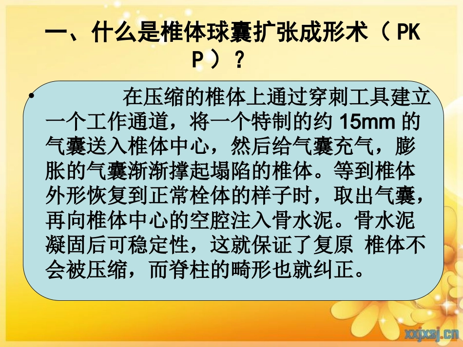 PKP护理查房_第3页