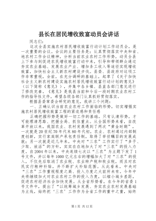 县长在居民增收致富动员会讲话
