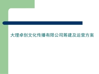XXX文化传播公司运营管理方案