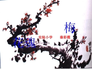 彩霞的梅花魂
