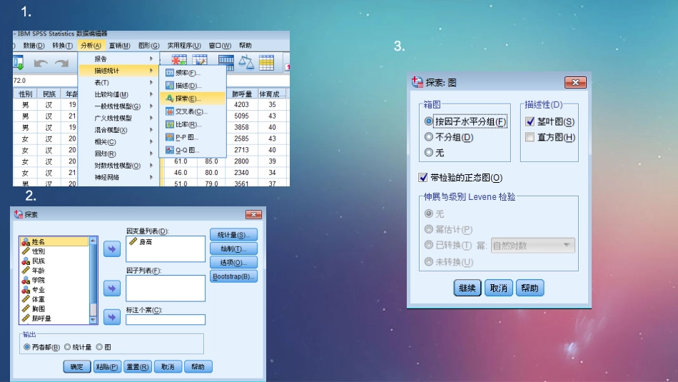 SPSS数据正态性检验解析_第3页