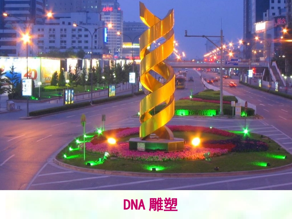 DNA分子的结构ppt_第2页