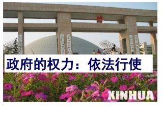 政府的权力：依法行使（我