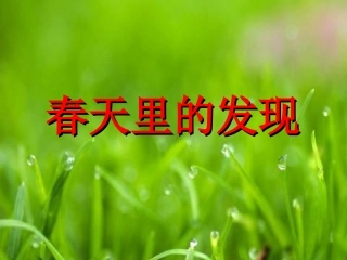 春天里的发现