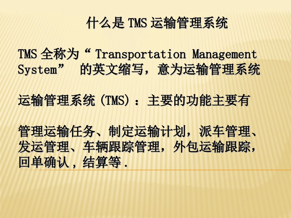 TMS运输管理系统_第2页
