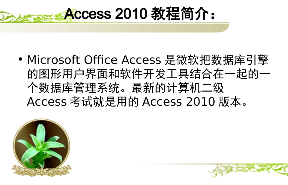 ACCESS2010基础教程_第2页