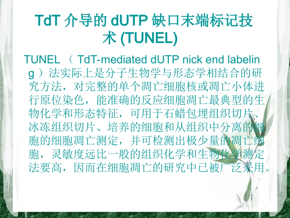 TUNEL法检测细胞凋亡实验原理和方法tunel完成_第1页