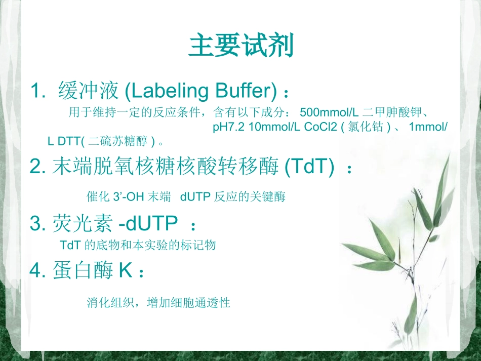 TUNEL法检测细胞凋亡实验原理和方法tunel完成_第3页