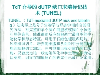 TUNEL法检测细胞凋亡实验原理和方法tunel完成