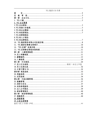 TCL集团CIS手册