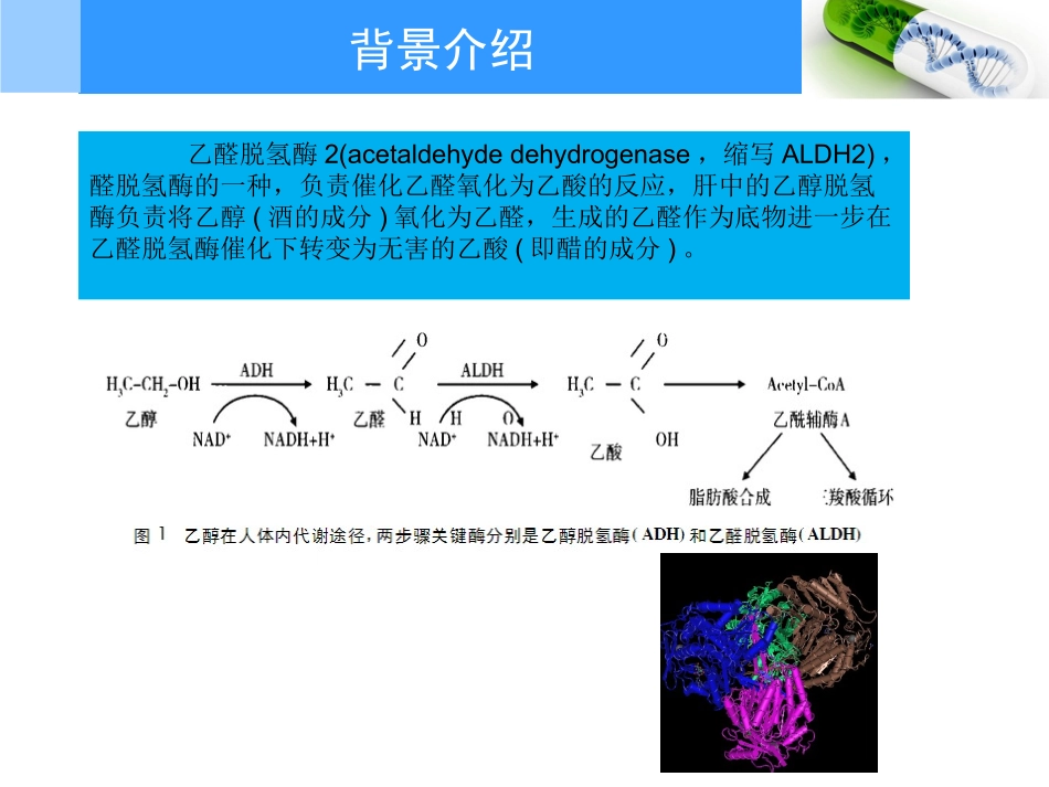 ALDH2基因检测_第3页