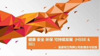 PPT22：壳牌公司HSE管理体系的精华