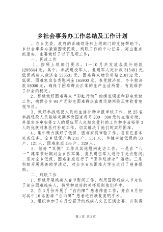 乡社会事务办工作总结及工作计划