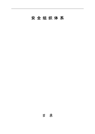 安全管理组织及管理体系图