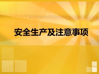 安全生产及注意事项(精)