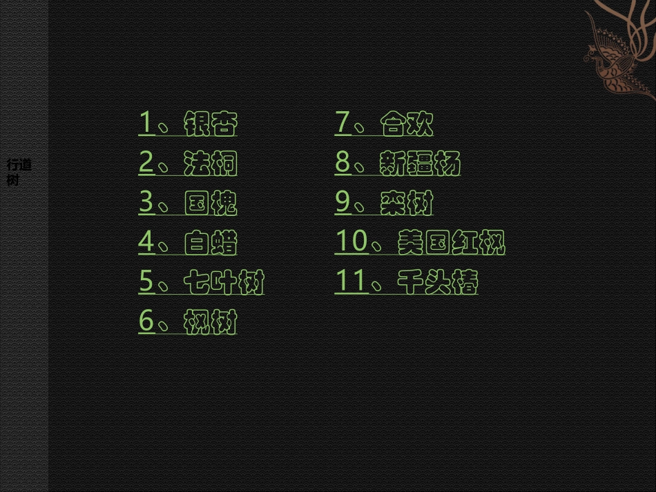 北方常用园林绿化植物、树种简介_第3页