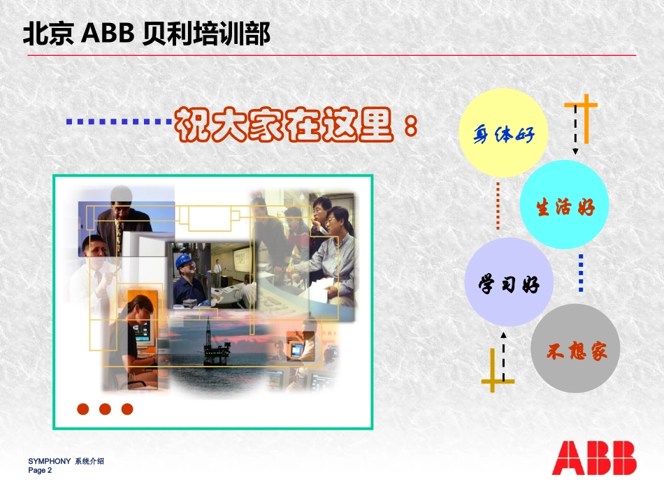 ABB DCS系统概述_第2页