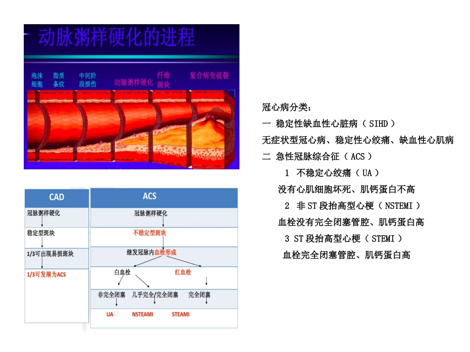 AHA双联抗血小板药物指南第一部分_第2页
