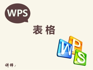 wps表格培训