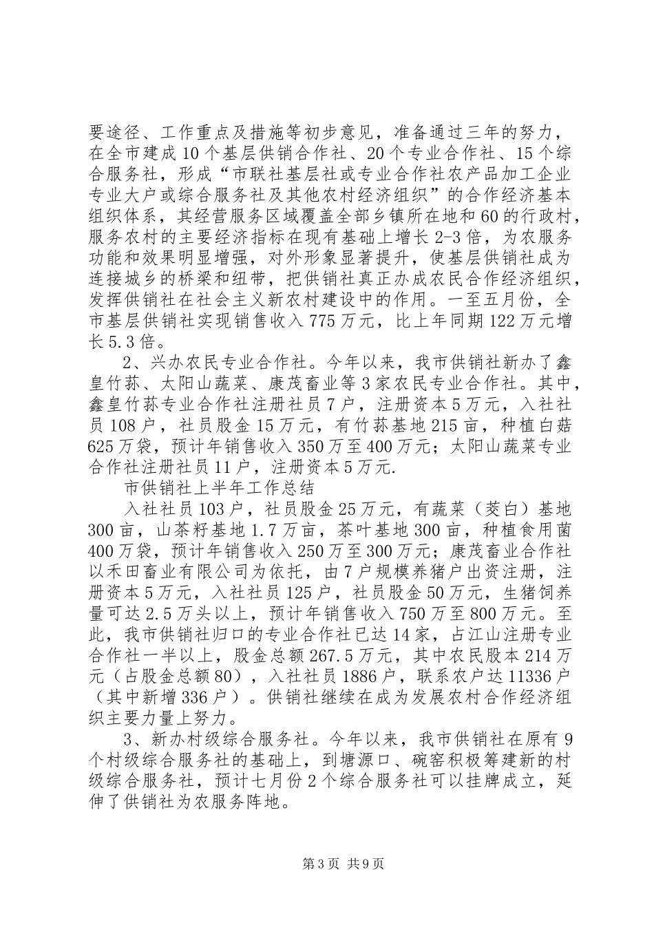 【市供销社二00八年上半年工作总结及下半年计划】供销社条例草案_第3页