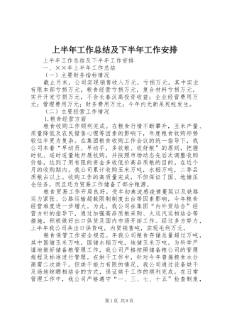上半年工作总结及下半年工作安排_1