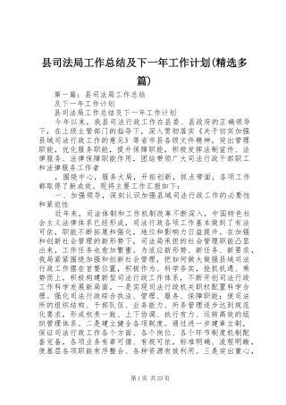 县司法局工作总结及下一年工作计划(精选多篇)
