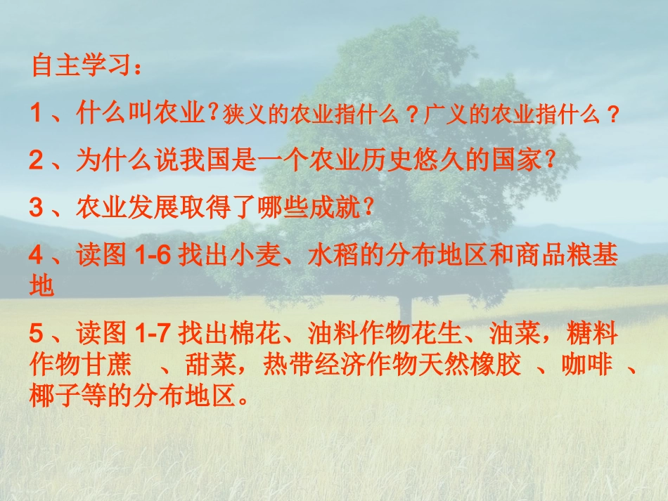 八年级上册地理湘教版第一节农业_第2页