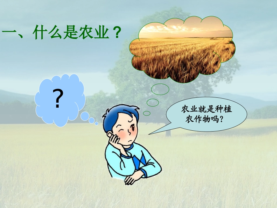 八年级上册地理湘教版第一节农业_第3页