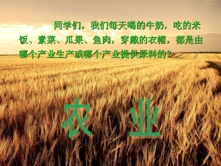 八年级上册地理湘教版第一节农业