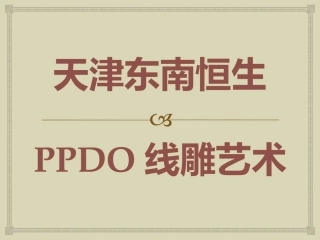 PPDO线雕艺术