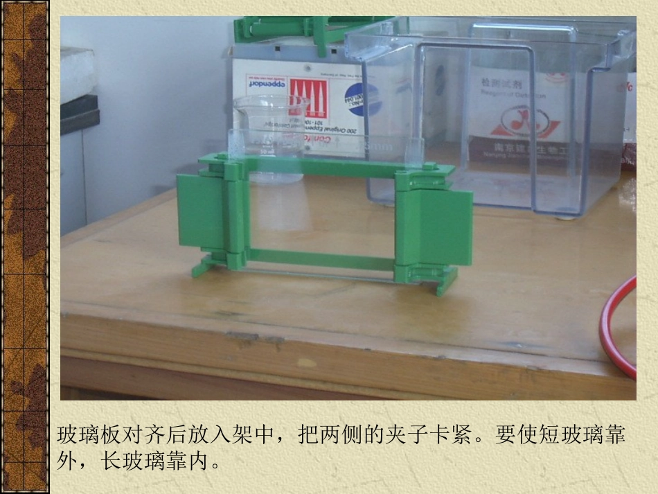 WESTERN BLOT操作步骤图_第3页