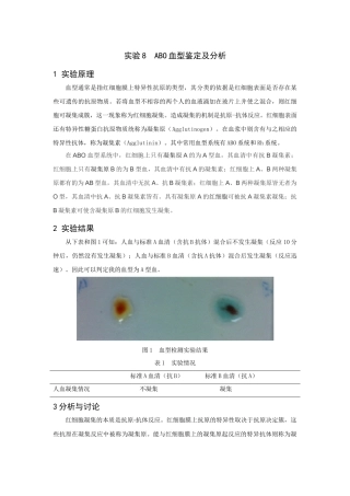 ABO血型鉴定及分析