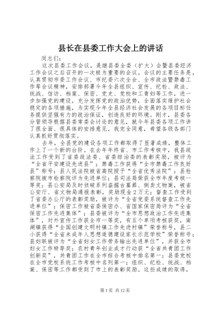 县长在县委工作大会上的讲话