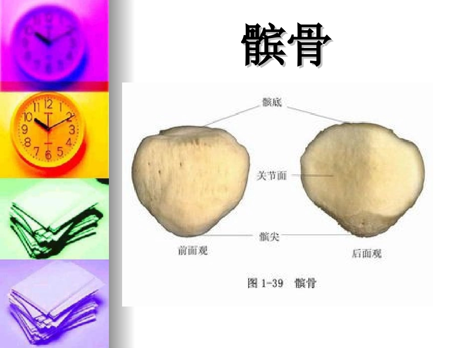 髌骨骨折的护理查房_第3页