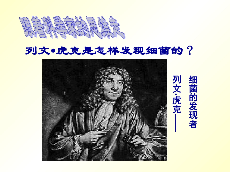 《细菌》课件_第2页