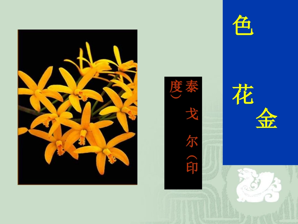 语文七年级上册《金色花》_第2页