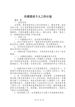 共青团员个人工作计划