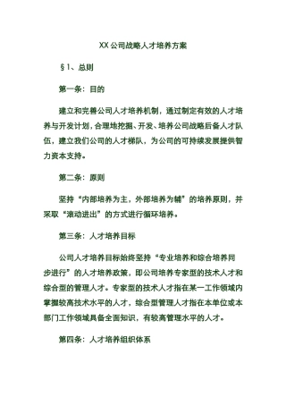 XX公司战略人才培养方案