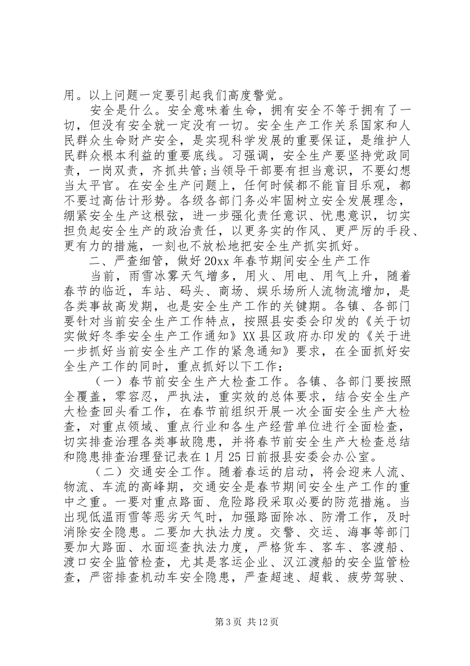 县长春节安全生产讲话_第3页