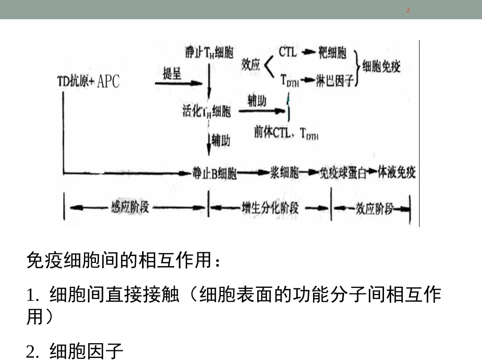 白细胞分化抗原和黏附分子2015_第2页