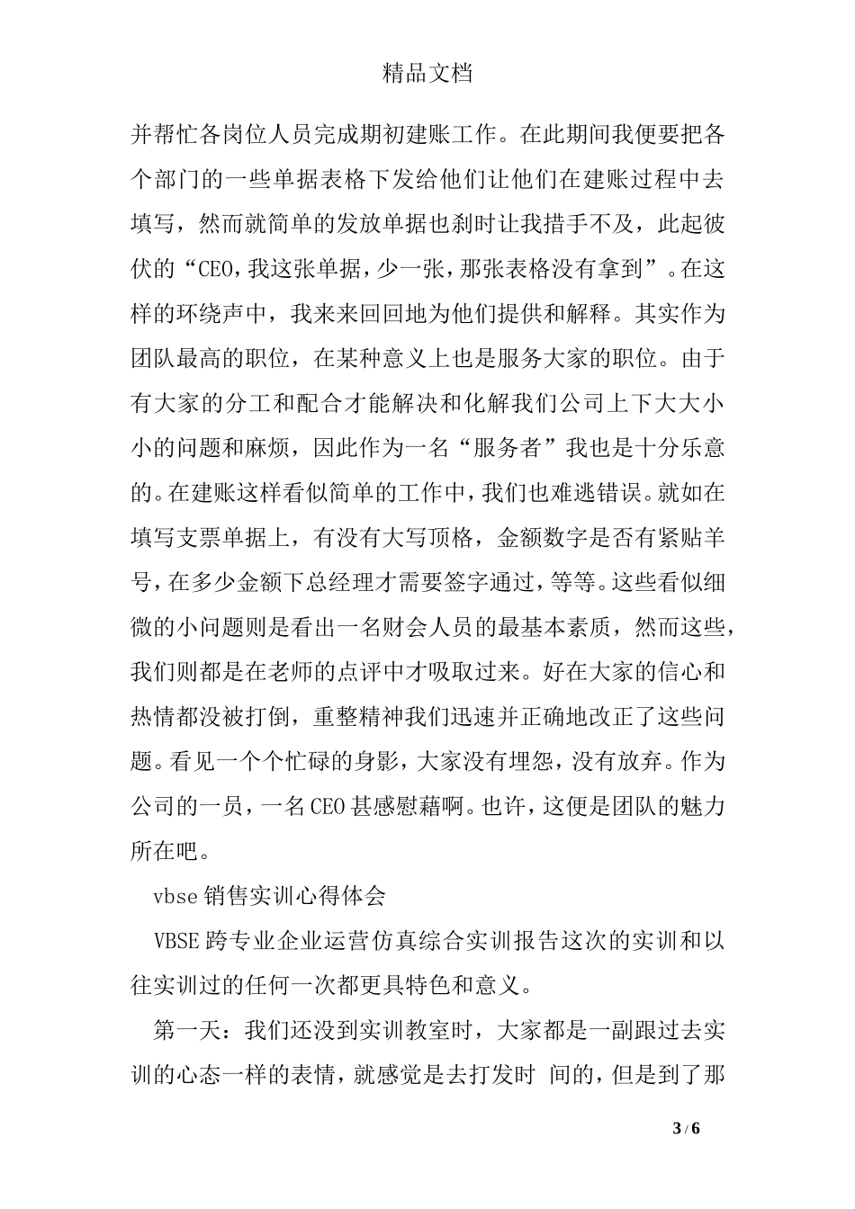 vbse销售实训心得体会_第3页