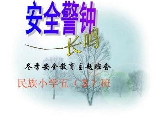 冬季安全教育主题班会