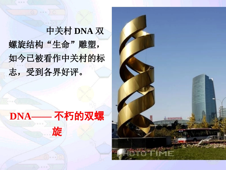 必修二DNA分子结构课件_第2页