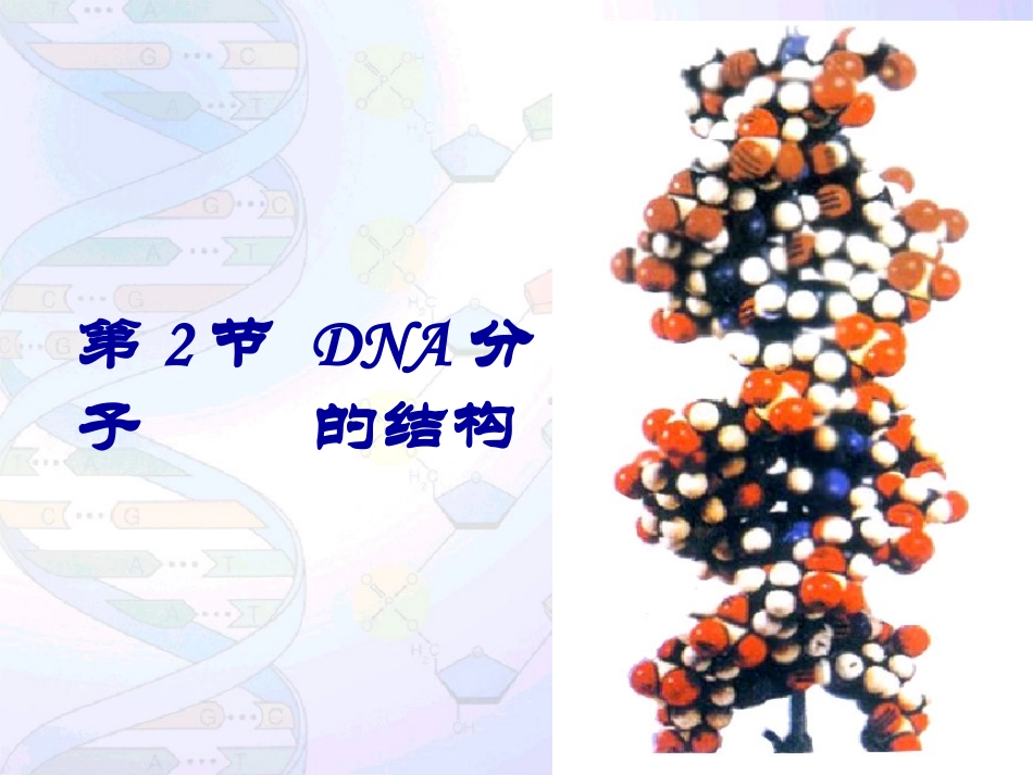 必修二DNA分子结构课件_第3页