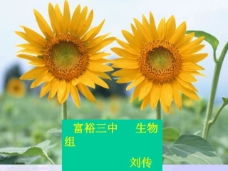 必修二DNA分子结构课件