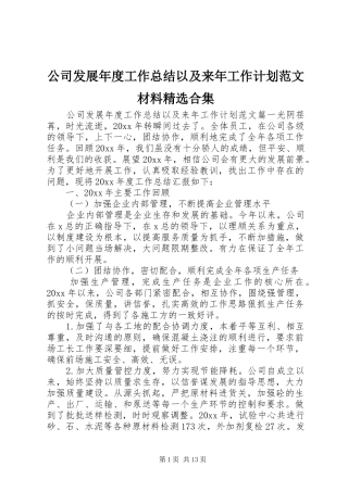 公司发展年度工作总结以及来年工作计划范文材料精选合集