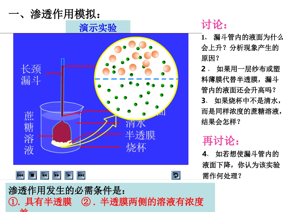 跨膜运输的实例与方式_第3页